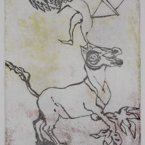 Heijden, M. v.d. - Pegasus -