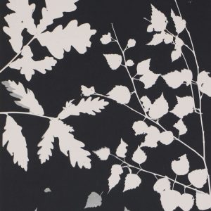 onbekend - zonder titel -