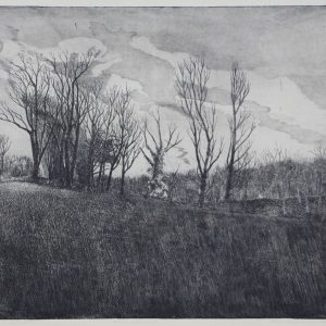 Miedema, Folly - Bomen bij avond - 1978