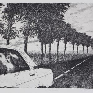 Miedema, Folly - De autorit - 1981