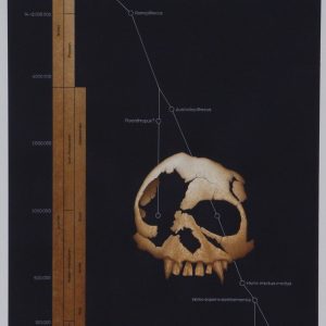 Joop Romijn - Devolutie - 1979