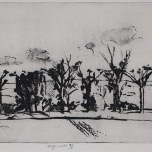 Van der Zander, F. - Landschappelijk - Platanen bij Roussi  - 1978