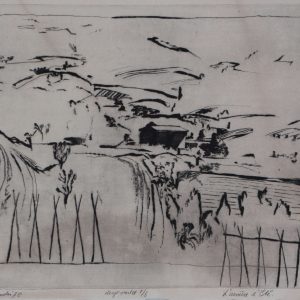 Zander, F. van der - L`umière d Eté - 1978