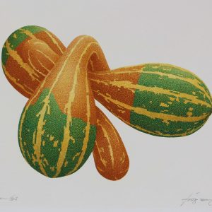 Romijn, Joop - Pompoen 63 - 1973