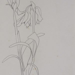 Hamer, Otto - zonder titel - 1990