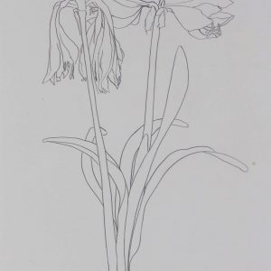 Hamer, Otto - zonder titel - 1990