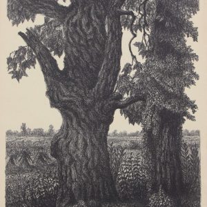 Thillart, Jan van den - Twee Bomen - 1958