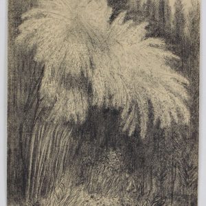 Thillart, Jan van den - Voorjaar 1976 - 1976