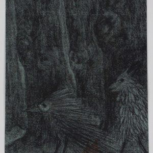 Thillart, Jan van den - Vreemde vogels in het bos - 1980