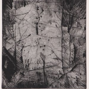 Oort, Peter van - Fenêtre de "Briac" III - 1982