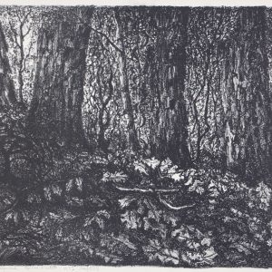Thillart, Jan van den - Herfstbos - 1957