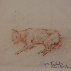 Thillart, Jan van den - Studie Honden - 1932