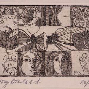 Leewes, Gerry - Drie levensfasen in 12 hokjes - 1974